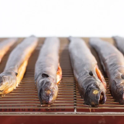 angulasibaialde-anguila-3