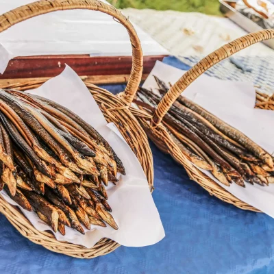 angulasibaialde-anguila